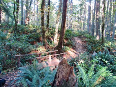 Along the Howard Adams Trail