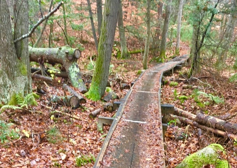 Cool wooden bridge