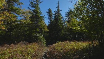 Southbound on #517 - Hidden Passage Trail Junction