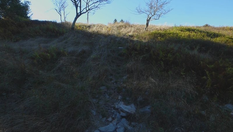 Hidden Passage Trail - begin big meadow