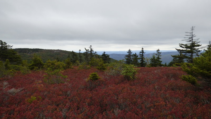 Canyon Rim Trail views (taken 10/5/19)