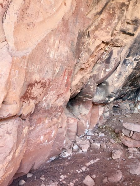 Rock art at Palatki.