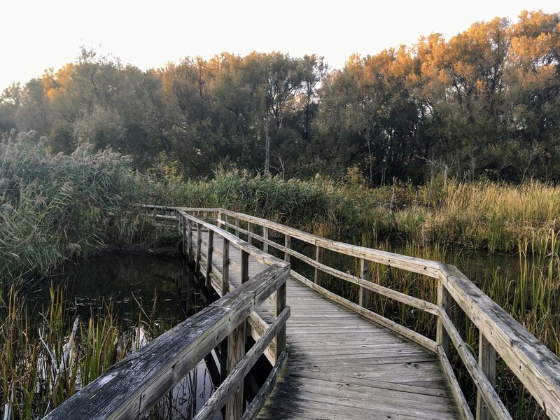 The nature boardwalks are well kept and fun to walk on