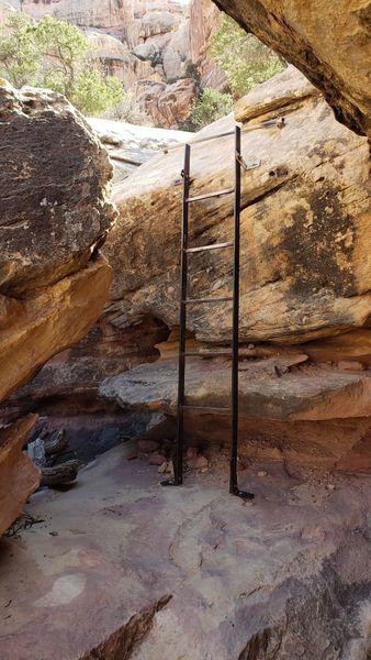 The "crux" of the trail, a ladder with a rod to help you over a somewhat exposed ledge.