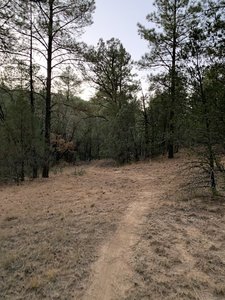 Otero Canyon trail
