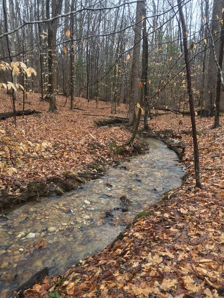 Prince William Forest Park, Triangle, Virginia