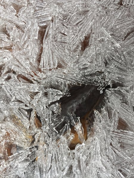 Ice crystals, Quantico Creek, Prince William Forest Park, Triangle, Virginia