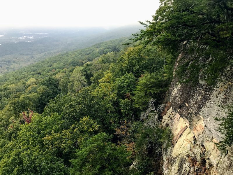 A foggy lookout along the trail