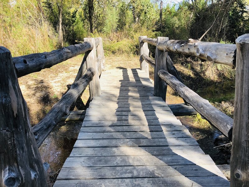 Bridge on the  Scenic Overlook Trail