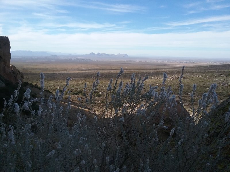 View of the Dona Ana Mountains