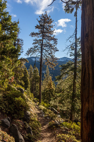 Ascent on Twin Lakes Trail