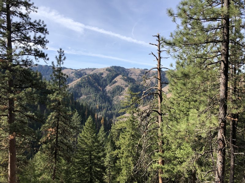 View to the west and the South Fork Umatilla River Canyon, Bobsled Ridge.