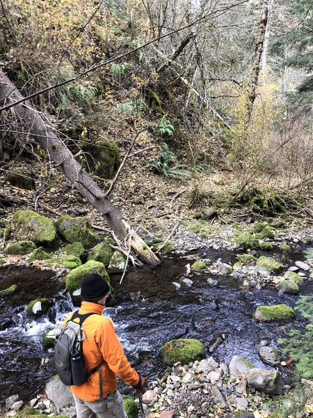 Crossing Buck Creek on the lower Buck Mountain Trail. Spring run-off will make crossing difficult.