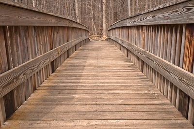Cunningham Forest Bridge