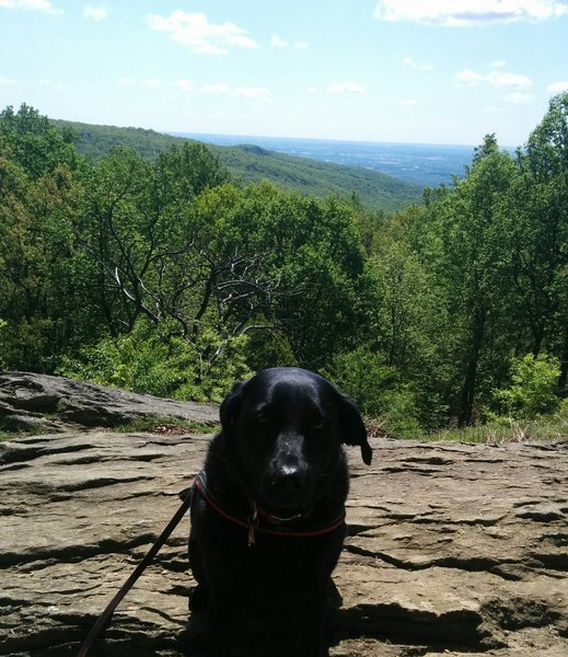 View from Hog Rock