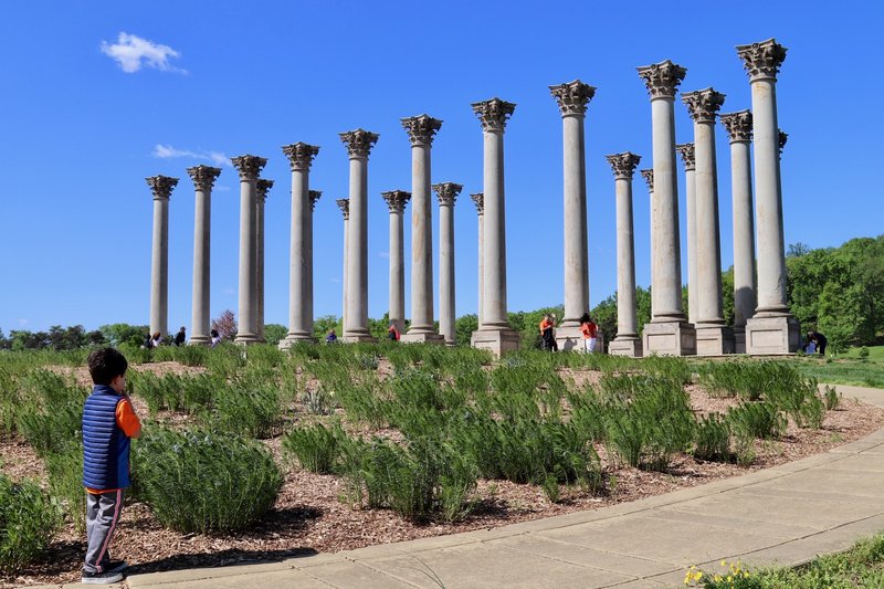 Path to historic Capitol Columns