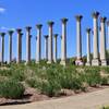 Path to historic Capitol Columns