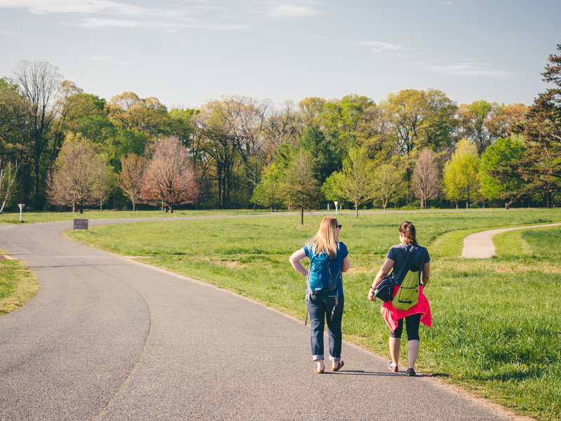 Strolling through the National Arboretum.