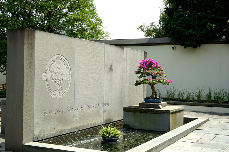 Entrance Courtyard, National Bonsai and Penjing Museum, US National Arboretum