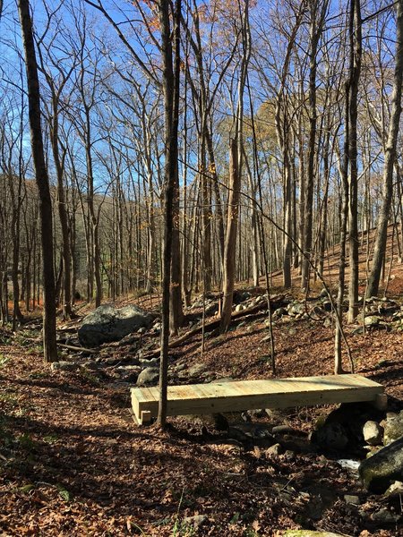 Nice New Bridge Built by Boy Scouts