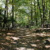 Sugarloaf Mountain Trail