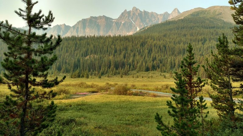 Poboktan Creek is in a meadow below Poboktan Pass Trail and Waterfalls Warden Cabin. Waterfall Peaks are not far away, across the meadow and forested hills.