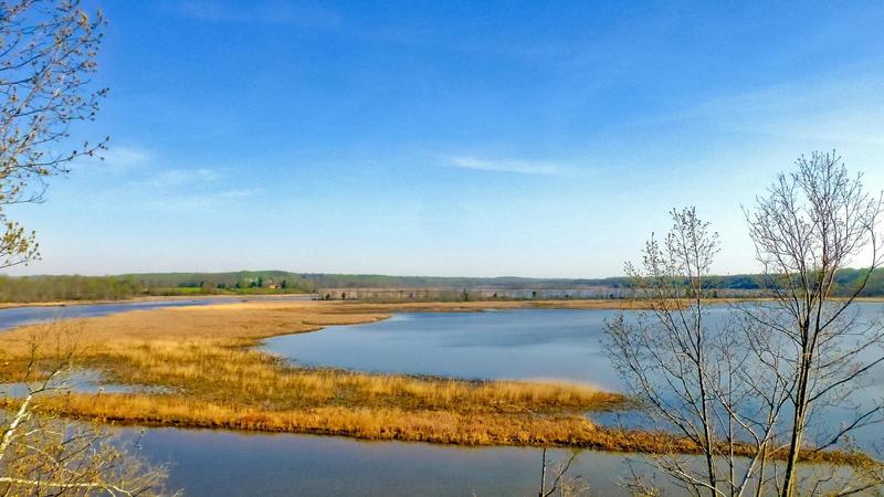 Patuxent River Park Apr 11, 2017, 8-16 AM_edit