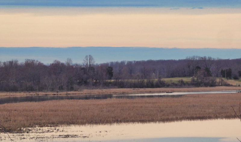 Patuxent River Park Jug Bay Natural Wetlands