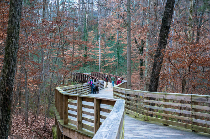 Boardwalk