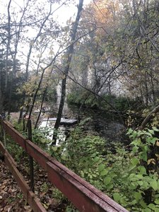 Views along the trail.