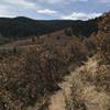 A southwestern view of Elk Valley Trail.