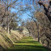 Towards the end of Deer Jaw Trail.