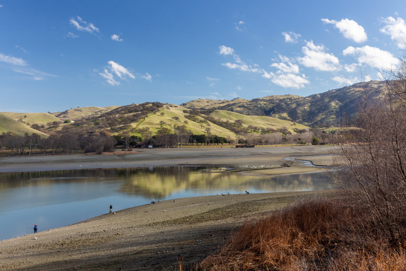 Lake Del Valle from Deer Jaw Trail.