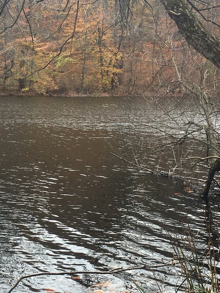 "Lake Surprise" from the north.