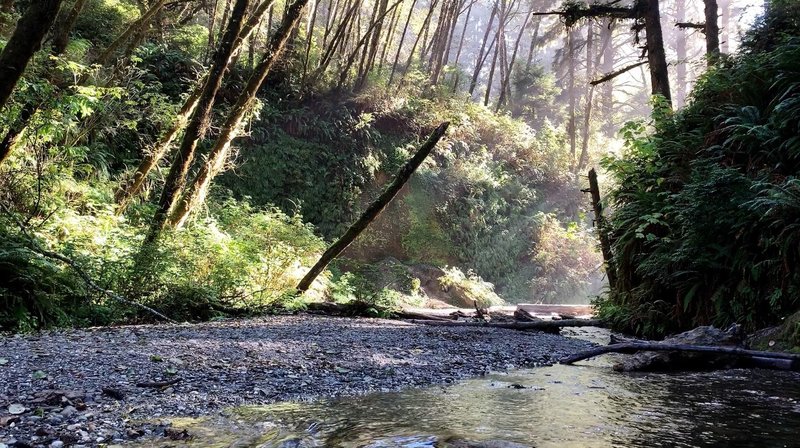 Entrance to Fern Canyon. I arrived around 1pm, which gave me half an hour of excellent light.