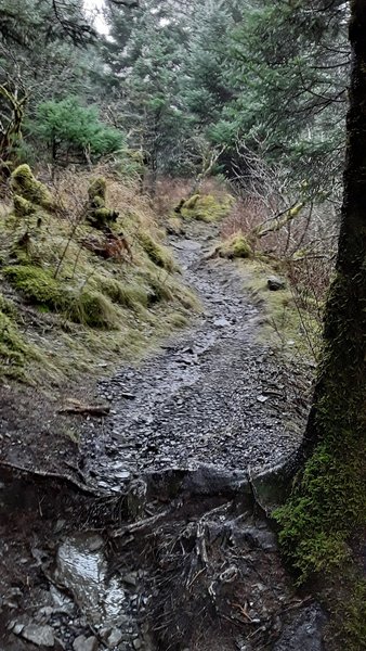 Connecting trail to north point trails