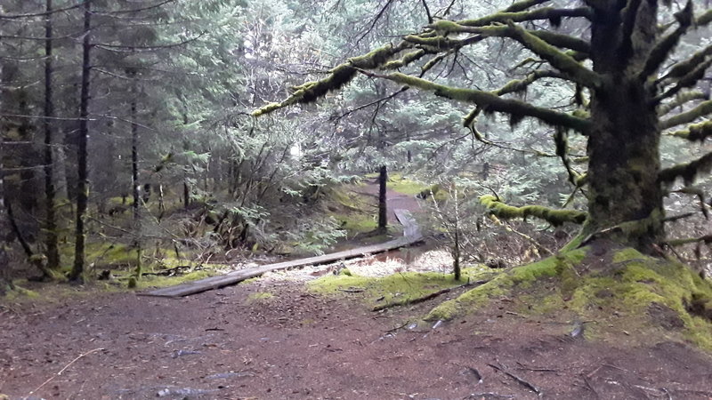 Connecting trail to south point trails.