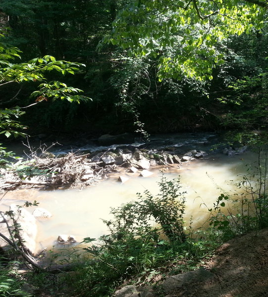 Small waterfall of Steele Creek along side the trail of Anne Springs Close Greenway