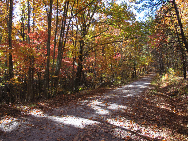 Tower Trail beginning