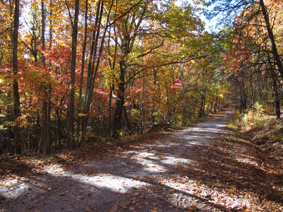 Tower Trail beginning
