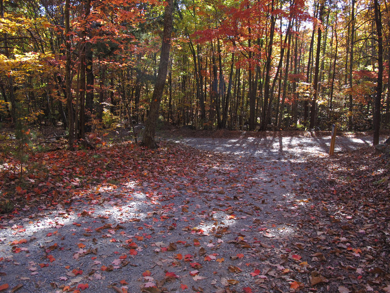 junction of Tower Trail and Backside Trail