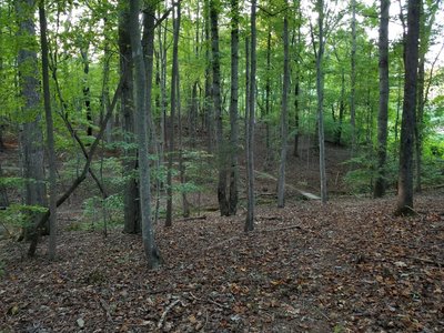 Beautiful fall afternoon at Poston