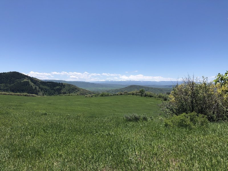 Early June. Stunning prairie.