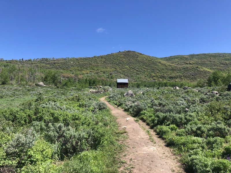 Enjoyable hike that's easy enough for all levels with a variety of views. Old homestead, creek, prairie and valley view through trail.