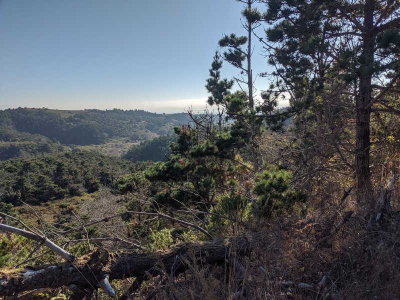 Looking toward the coast