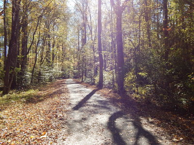 DSCN1641&quot; by Andrea Dufrenne (https://tinyurl.com/v6nm4hf), Flickr licensed under CC BY 2.0 (https://creativecommons.org/licenses/by/2.0/).&quot;