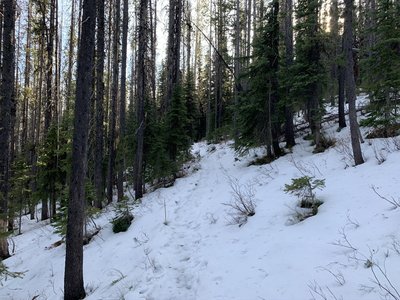Snow-covered trail.