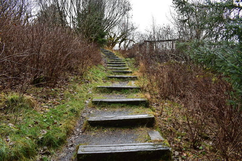 Viewing platform