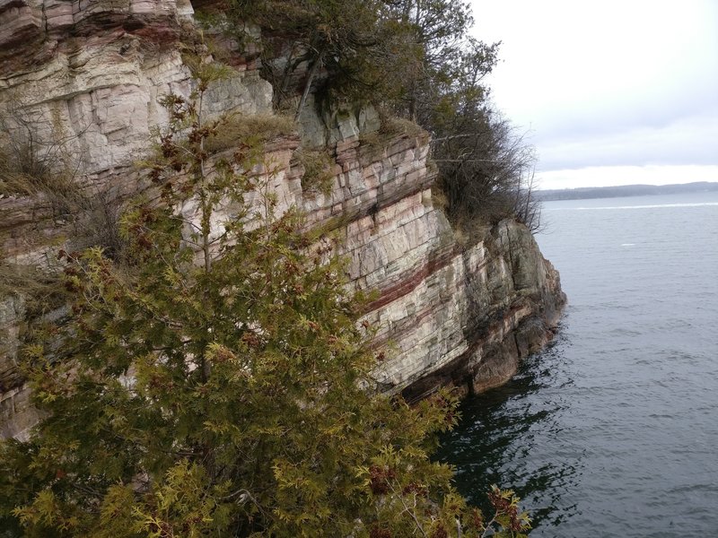 Views along Lake Trail