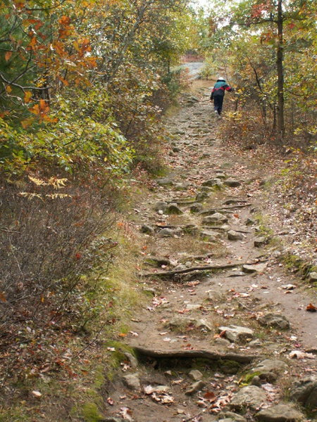 Hiking up Whipple Hill. Photo provided by the Town of Lexington, Conservation Division.